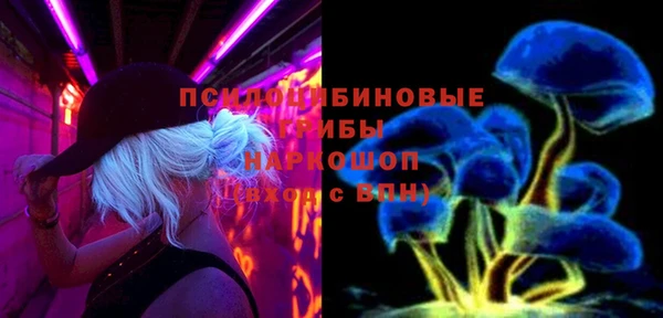 ешки Ладушкин