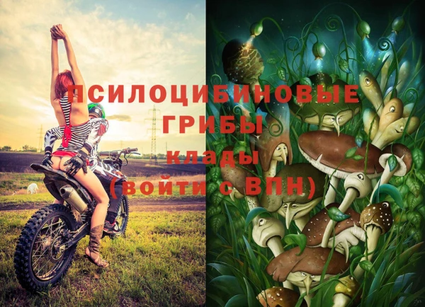 винт Лагань