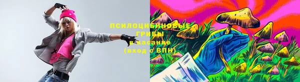 ешки Ладушкин