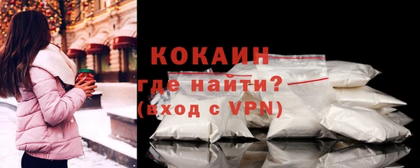 винт Лагань