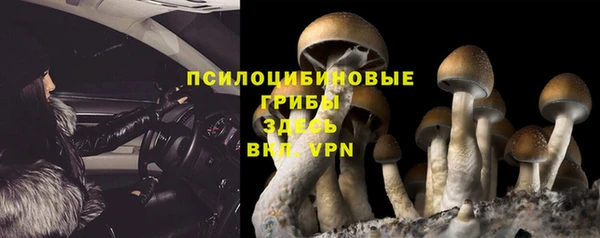 ешки Ладушкин
