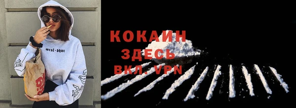 ешки Ладушкин