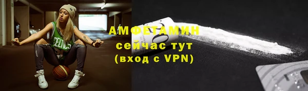 винт Лагань