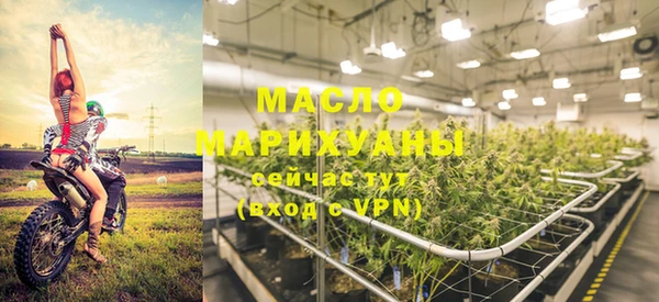 винт Лагань
