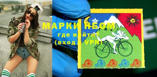 винт Лагань