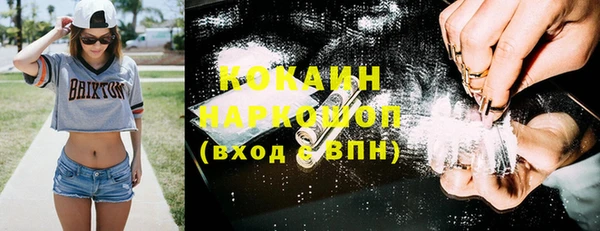 винт Лагань