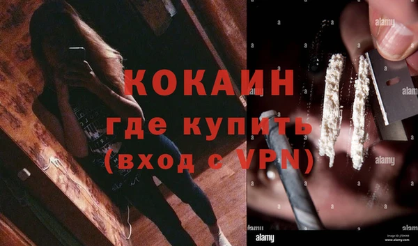 винт Лагань
