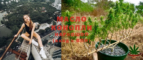 винт Лагань