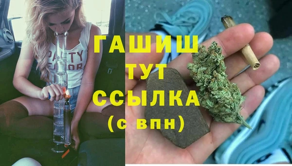 винт Лагань