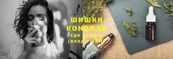 винт Лагань