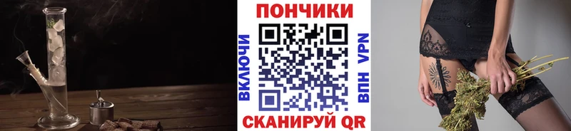 где купить наркотик  Элиста  Бошки марихуана план 